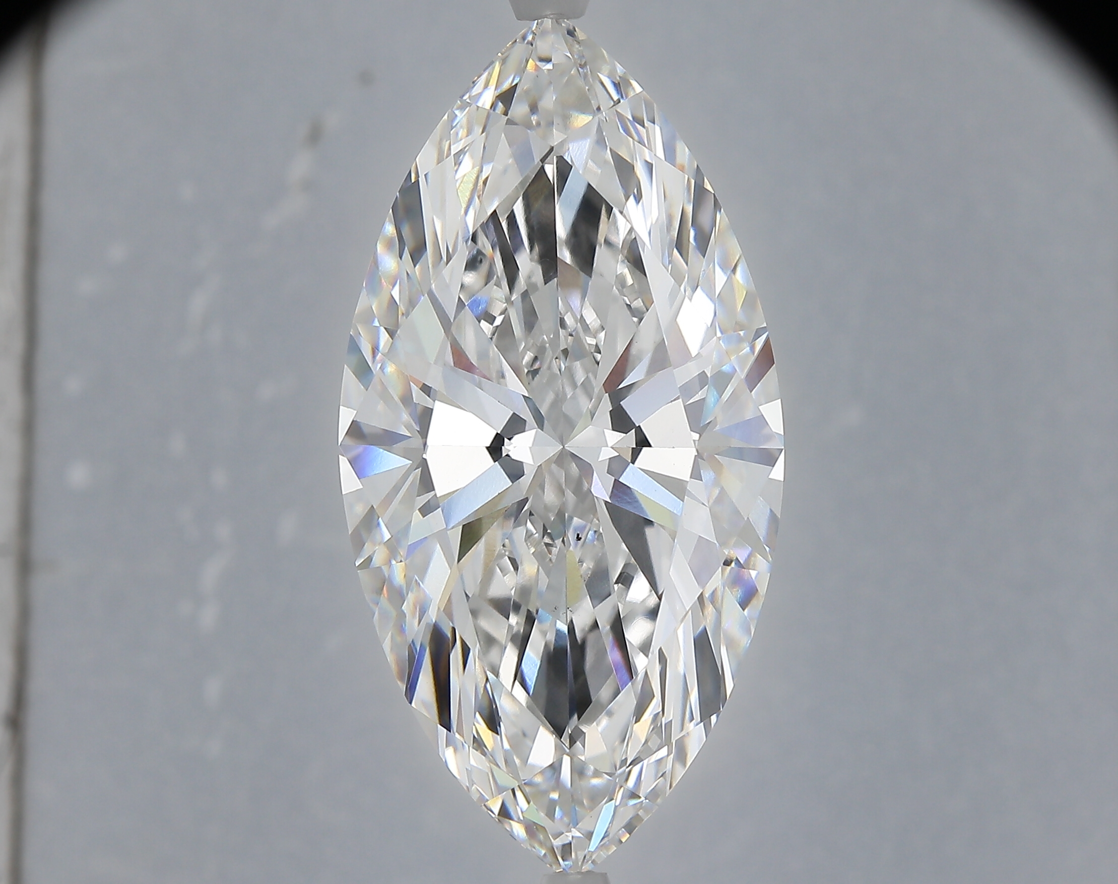 MARQUISE