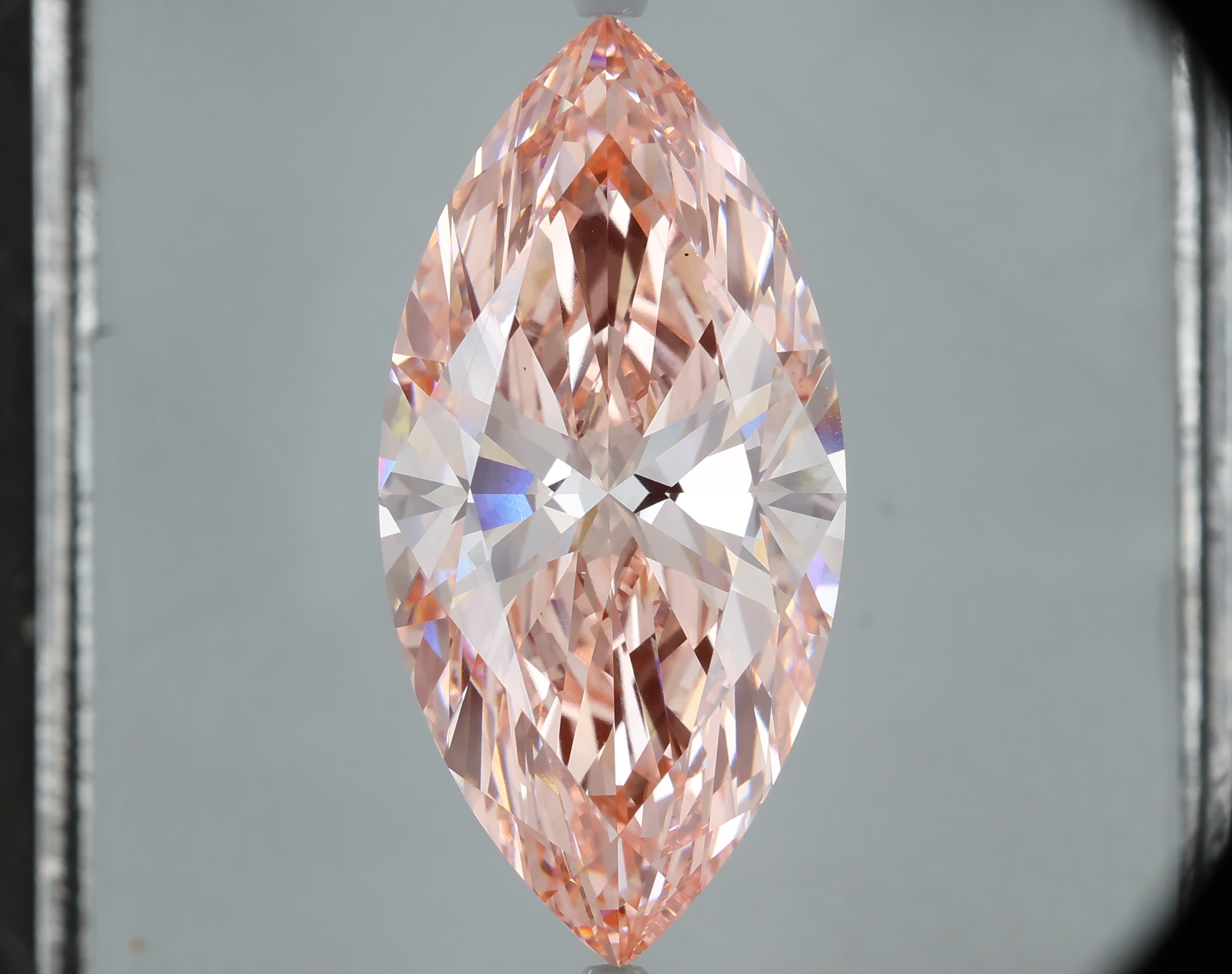 MARQUISE
